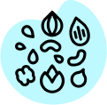 Dry Fruits