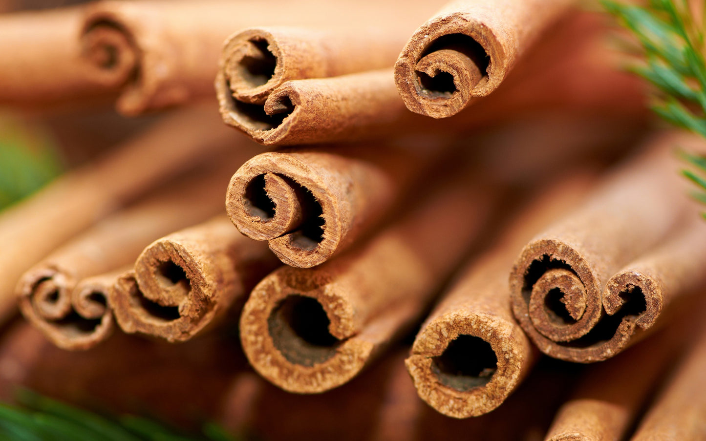 Cinnamon / Dalchini (Cigaar)