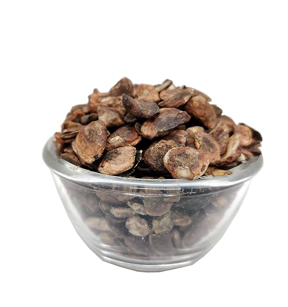 Godambi (Bhilawe ki Chironji)