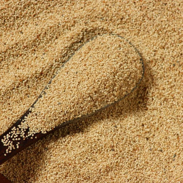 Khash khash / Khas Khas (Poppy Seeds)