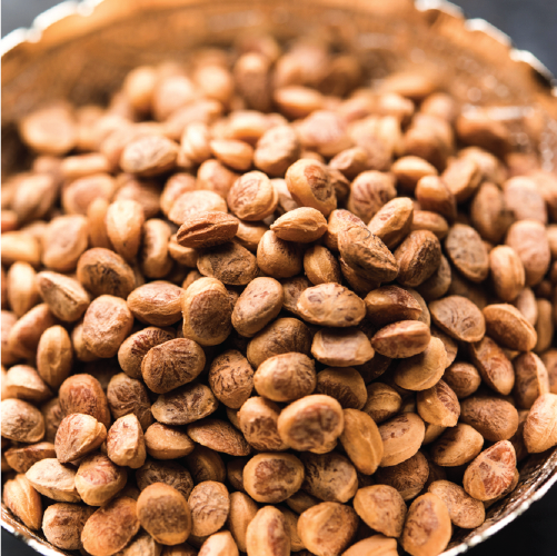 Chironjee (Chaaroli)