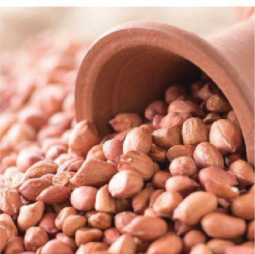 Ground nut (Shaing Danaa)