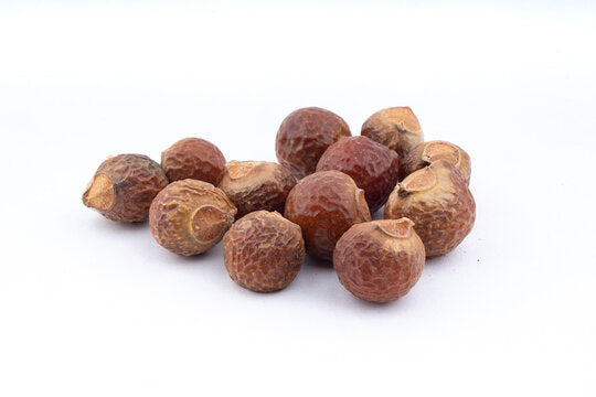 Reetha (Soap Nut)