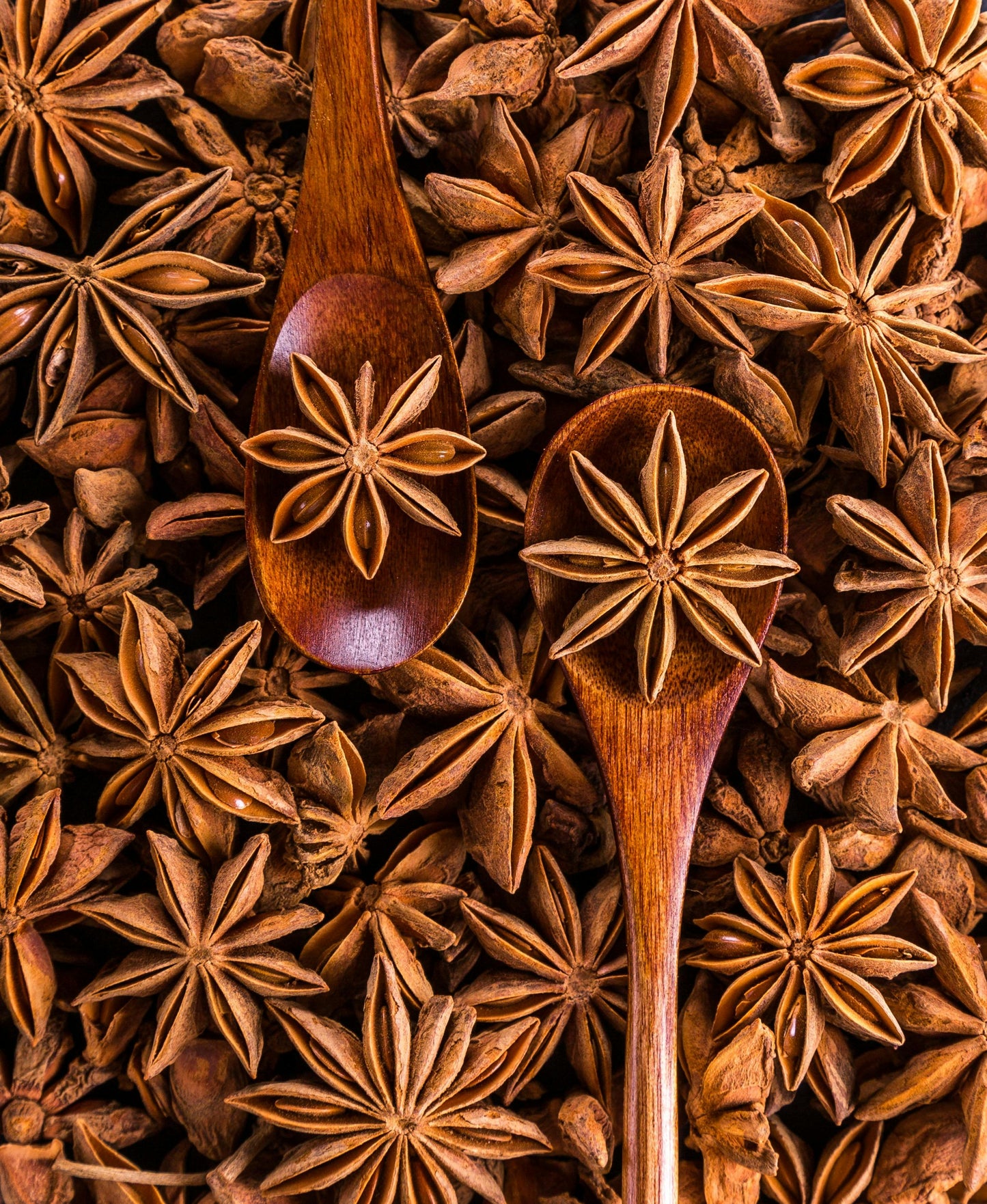 Star Anise (Chakra Phool)