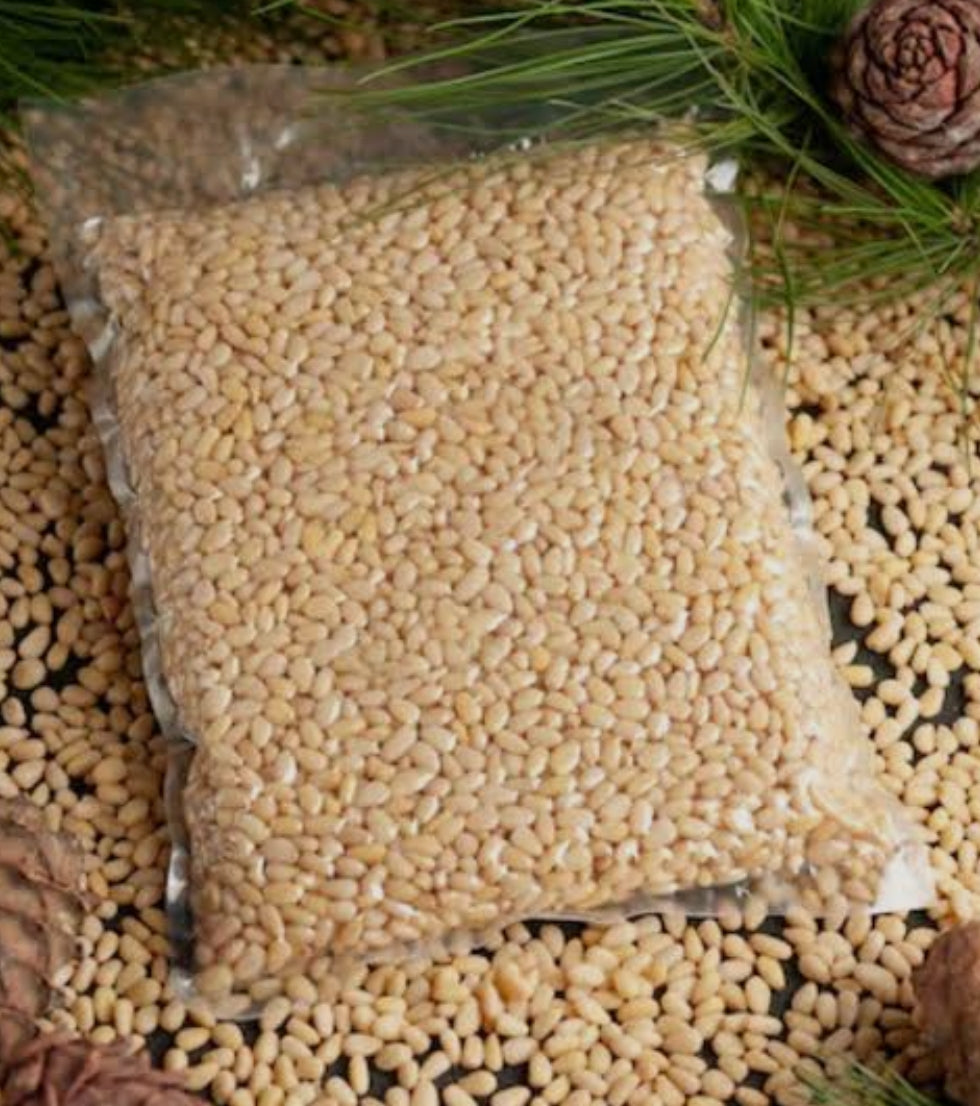Wheat (Sharbati 496)