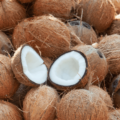 Coconut