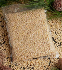 Wheat (Sharbati 496)