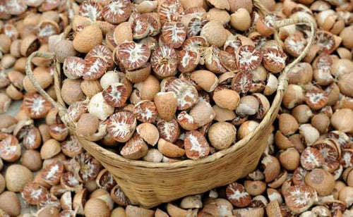 Areca Nut